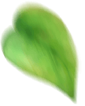 葉