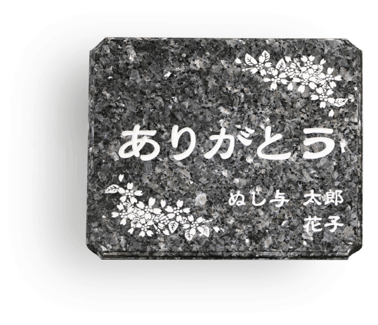 見本